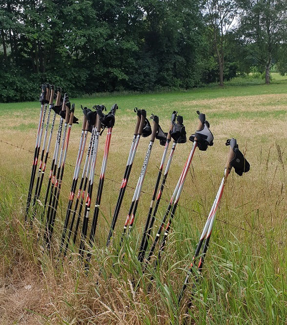 Nordic Walking Norderstedt 13 Stöcke Marke REX