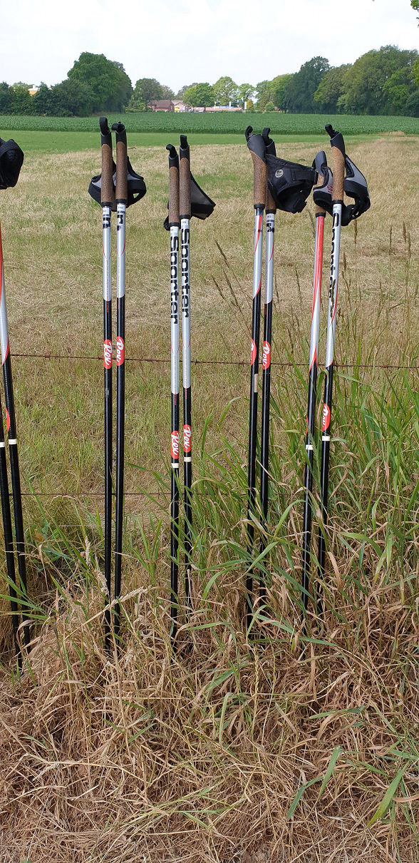 Nordic Walking Norderstedt Stöcke